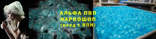 ПСИЛОЦИБИНОВЫЕ ГРИБЫ Верея