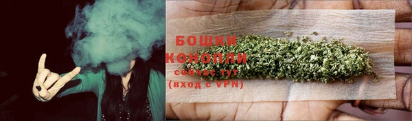 ПСИЛОЦИБИНОВЫЕ ГРИБЫ Верея