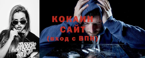 ПСИЛОЦИБИНОВЫЕ ГРИБЫ Верея