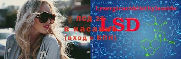 ПСИЛОЦИБИНОВЫЕ ГРИБЫ Верея