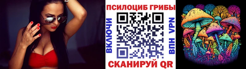 Купить Щигры Псилоцибиновые грибы MAGIC MUSHROOMS
